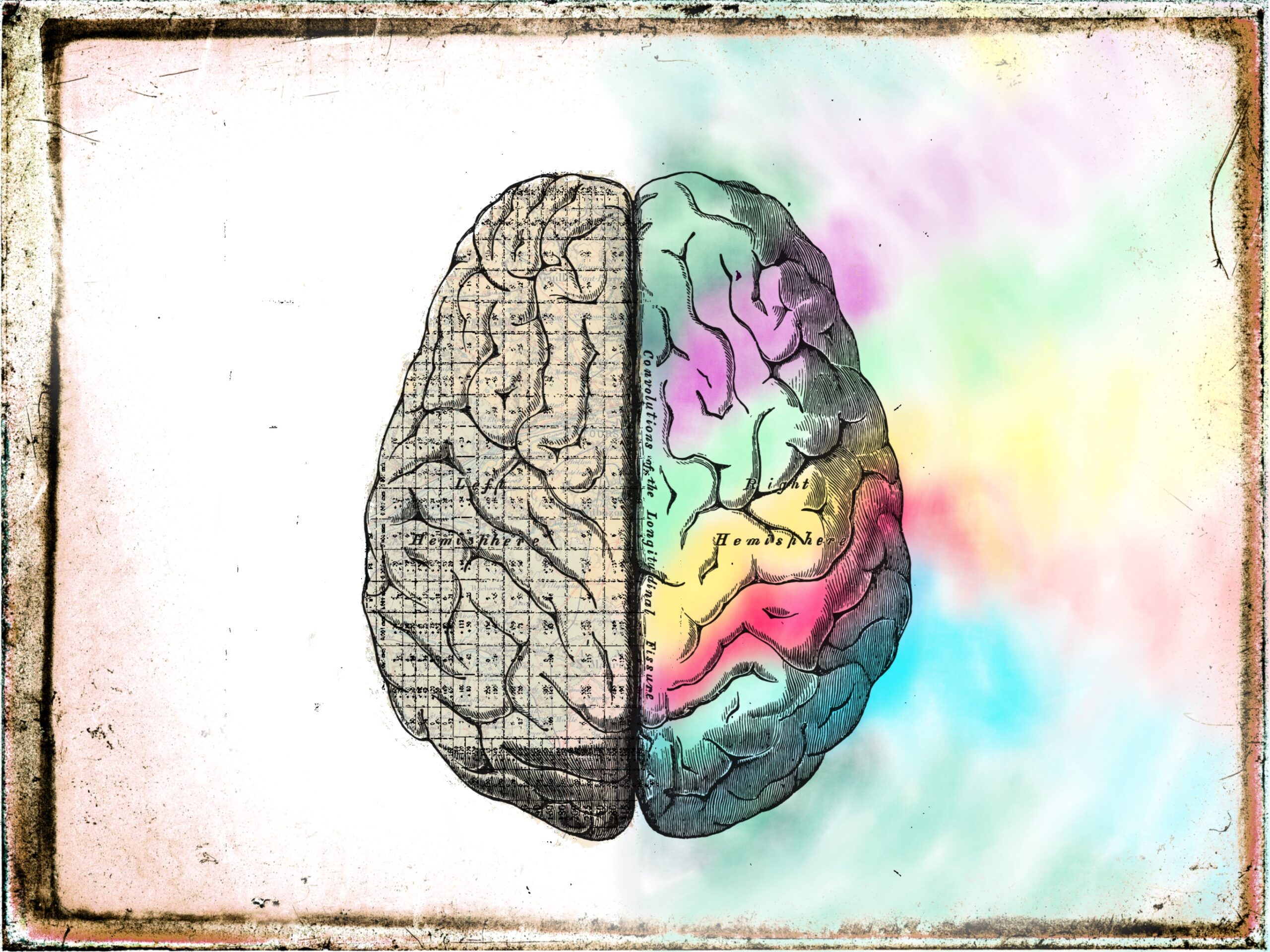 Eine Zeichnung eines Gehirns von oben gesehen. Die linke Hälfte ist gefüllt mit einem Raster und Zahlen/Zeichen. Die rechte Hälfte ist bunt. Das bunte breitet sich über die Fläche aus.